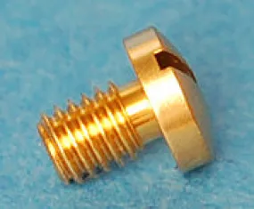 BELL BRACE SCREW - BODY SIDE